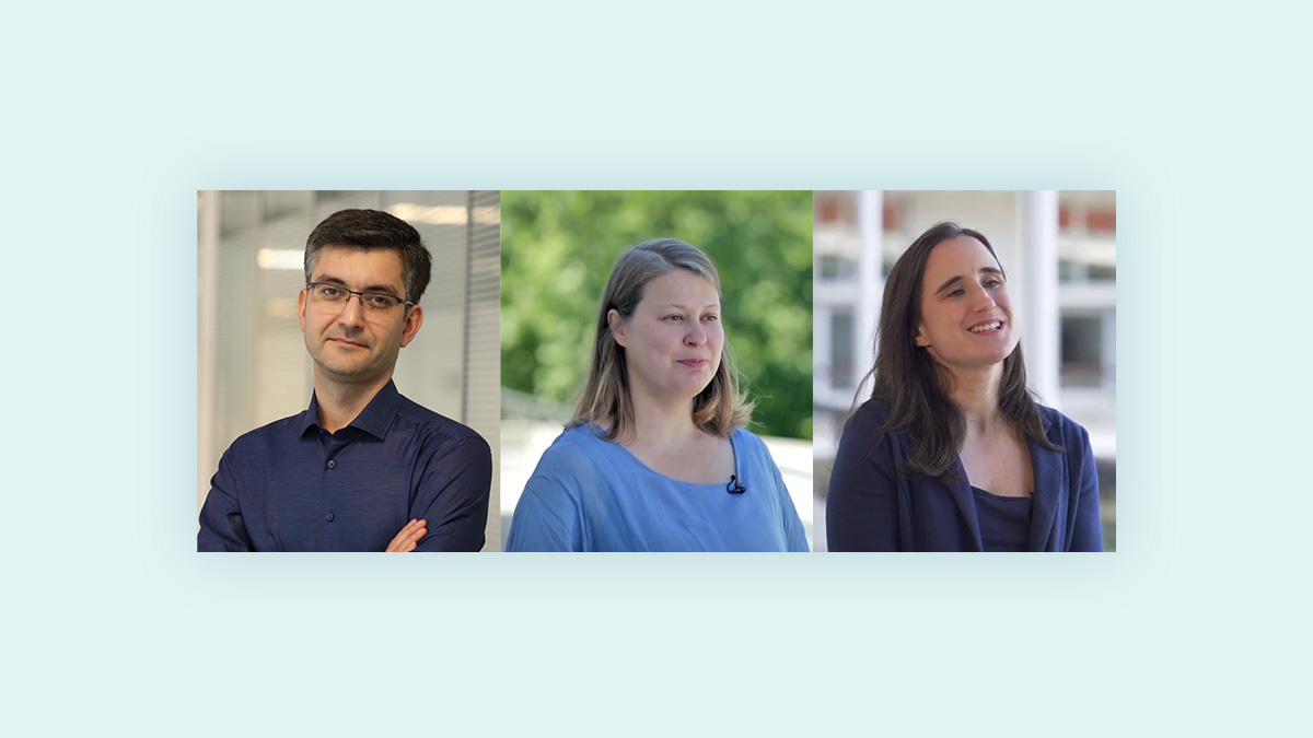 Portraits of the new BSE Research Professors